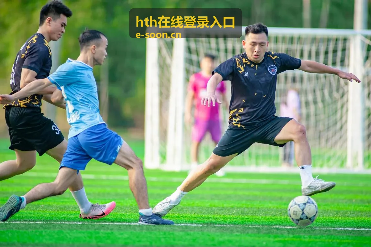 hth 平台公告与版本说明示意图